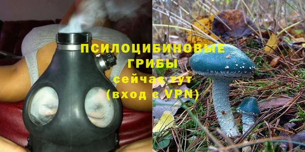 винт Арсеньев