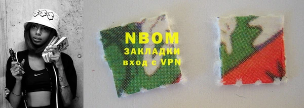 шишки Аркадак