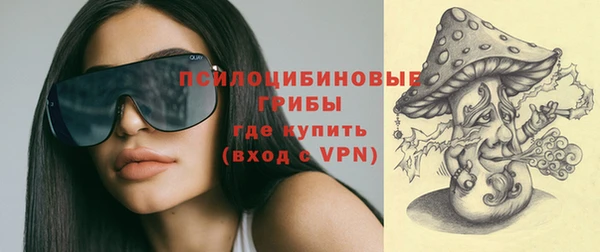 шишки Аркадак