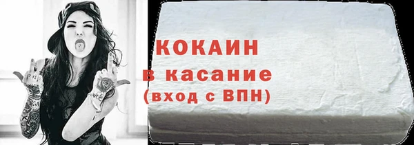 шишки Аркадак