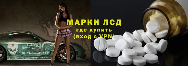шишки Аркадак