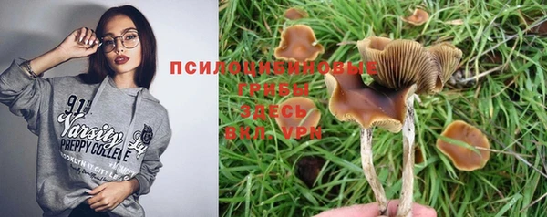 шишки Аркадак