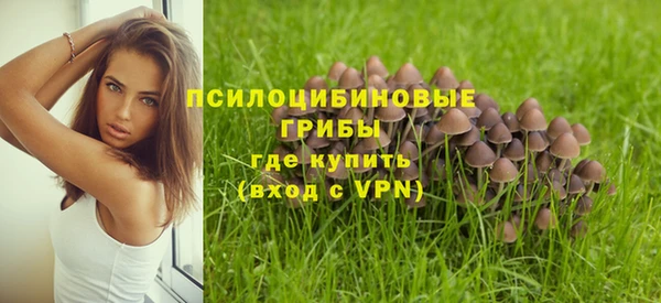 шишки Аркадак