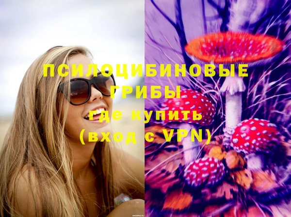 СК Новодвинск