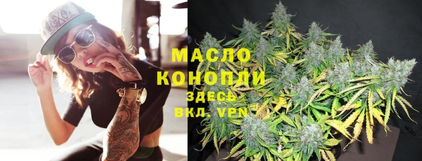 дмт Новокубанск