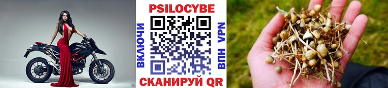 Галлюциногенные грибы прущие грибы  Купить закладки  Белорецк 