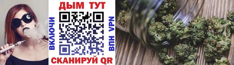 Купить где  Белорецк  Канабис индика 